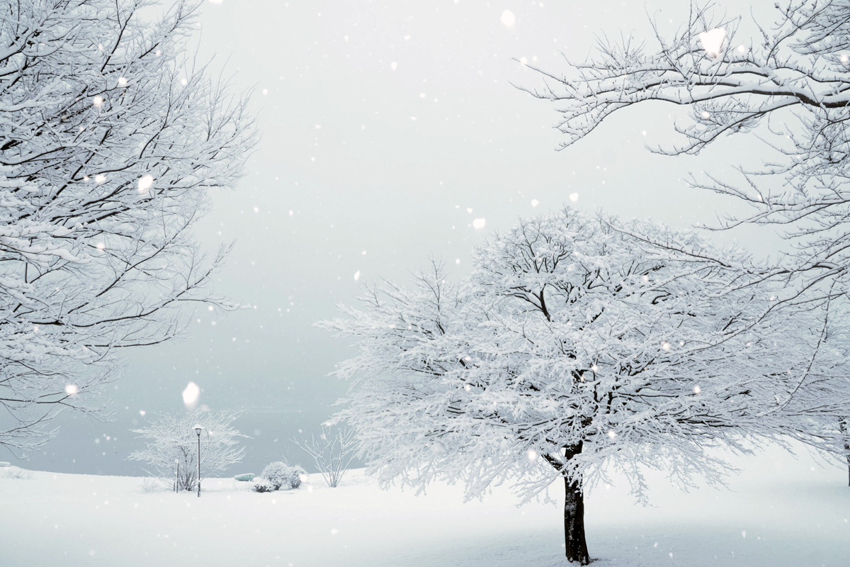 記事 降雪等による配送の遅延についてのアイキャッチ画像